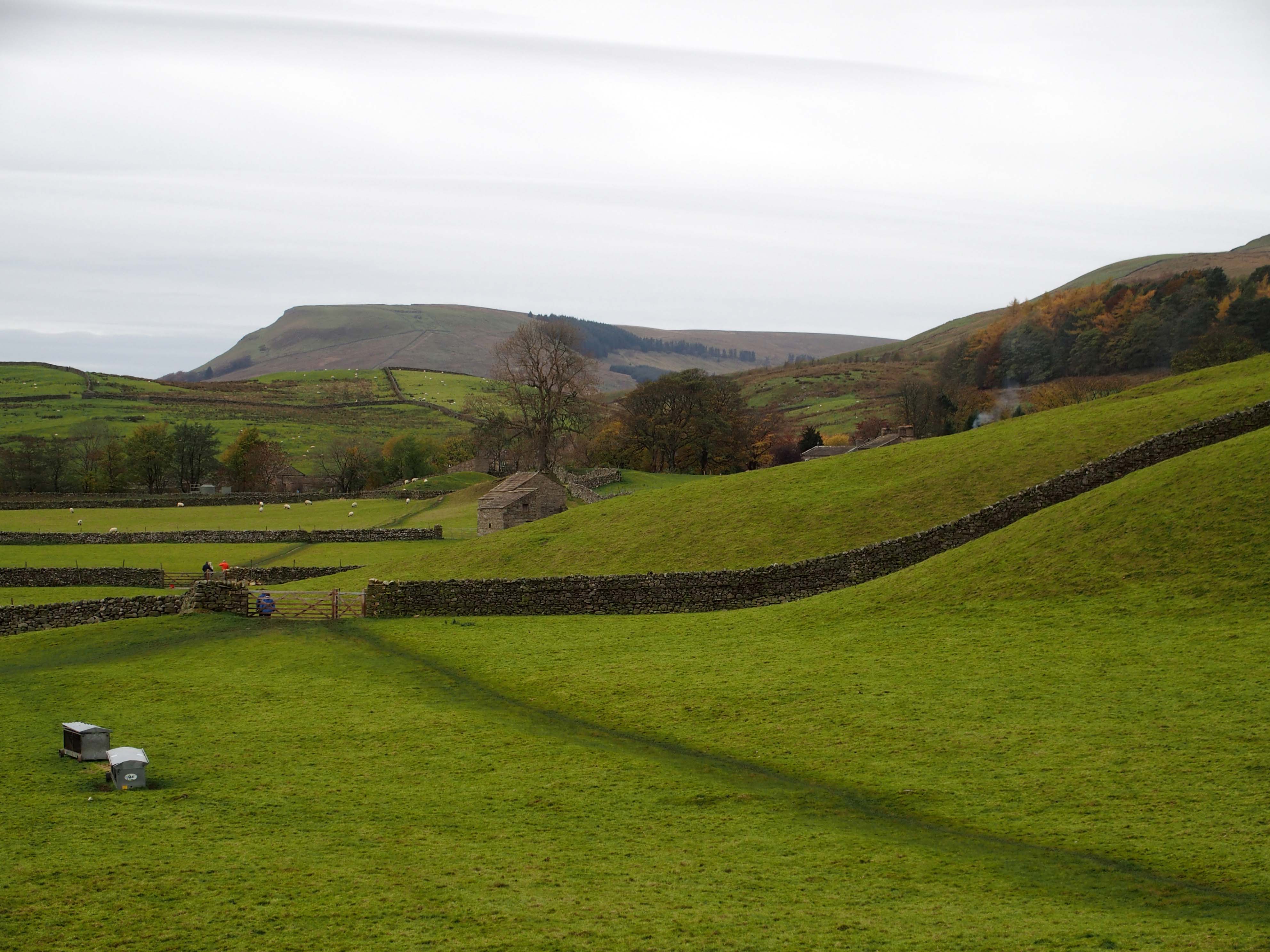 Rolling countryside walk from Hawes to Hardraw